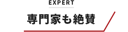 専門家も絶賛